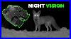 Budget_Night_Vision_Binoculars_Are_They_Worth_It_01_wbc