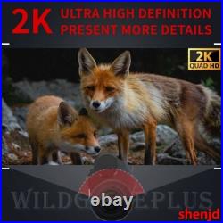 NVG30 Helmet Night Vision Monocular Wide View 40° 940nm IR WIFI Digital Starligh NVG30 Helmet Night Vision Monocular Wide View 40° 940nm IR WIFI Digital Starligh