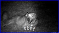 Night Vision Goggles 4K Binoculars 3'' HD Screen Binoculars Can Save Photos Night Vision Goggles 4K Binoculars 3'' HD Screen Binoculars Can Save Photos