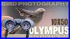 Olympus_10x50_S_Binoculars_For_Bird_And_Wildlife_Photography_01_qcj